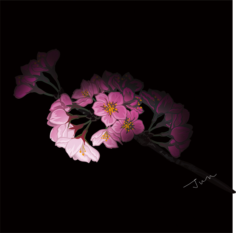 夜桜.jpg